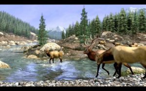 BIg Buck Hunter HD arcade game